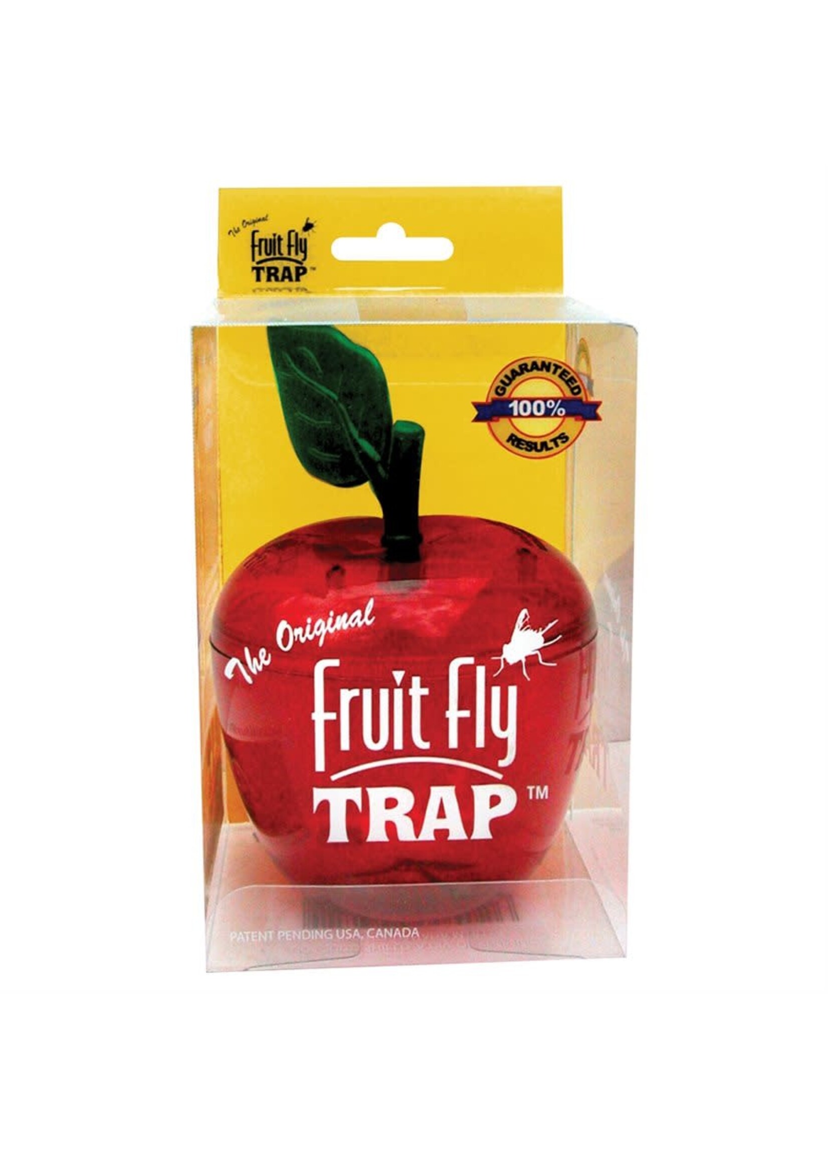 Knock down Fruit Fly Trap piège pour mouche à fruit