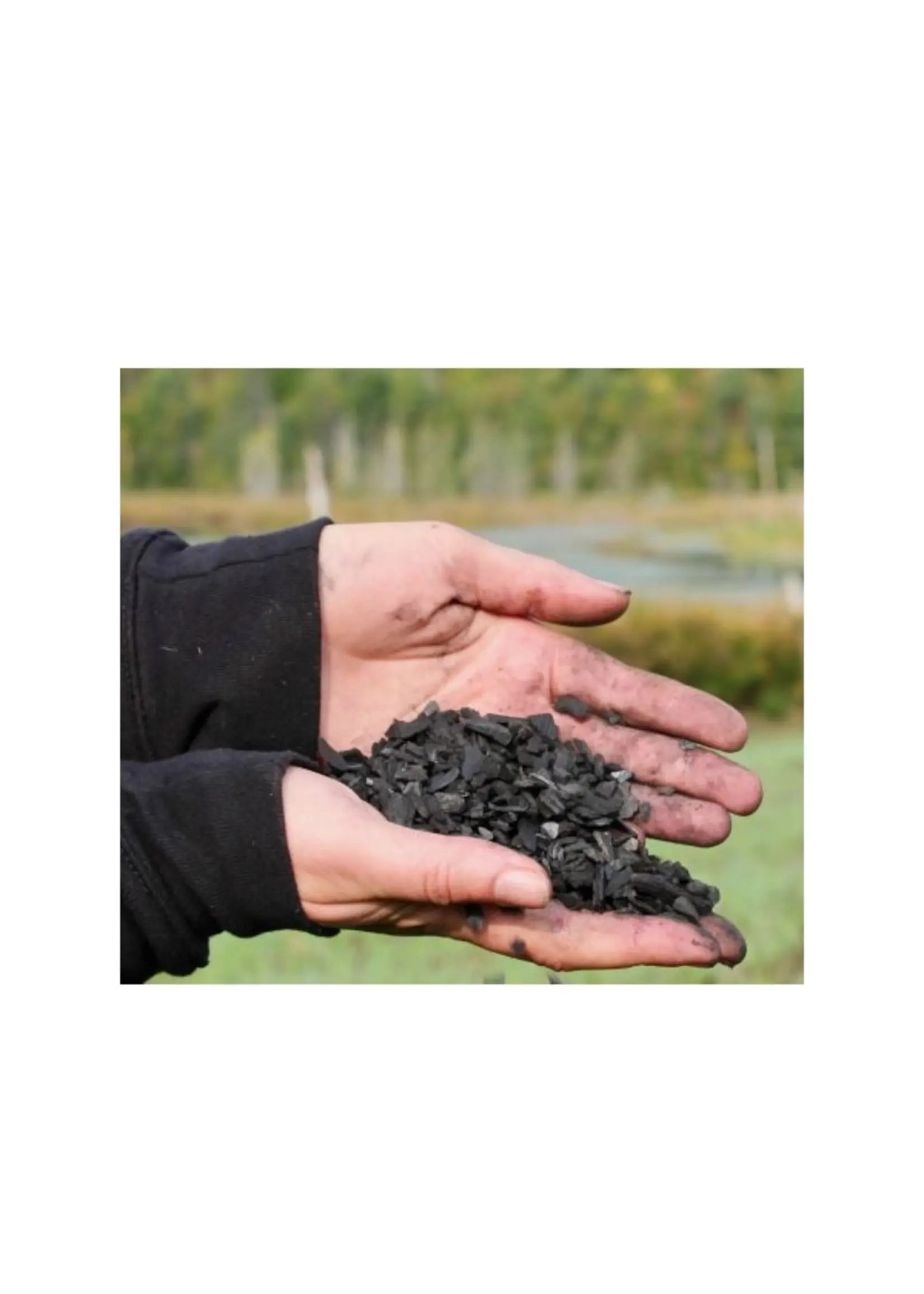 Les jardins de l'écoumène Écoumène Biochar