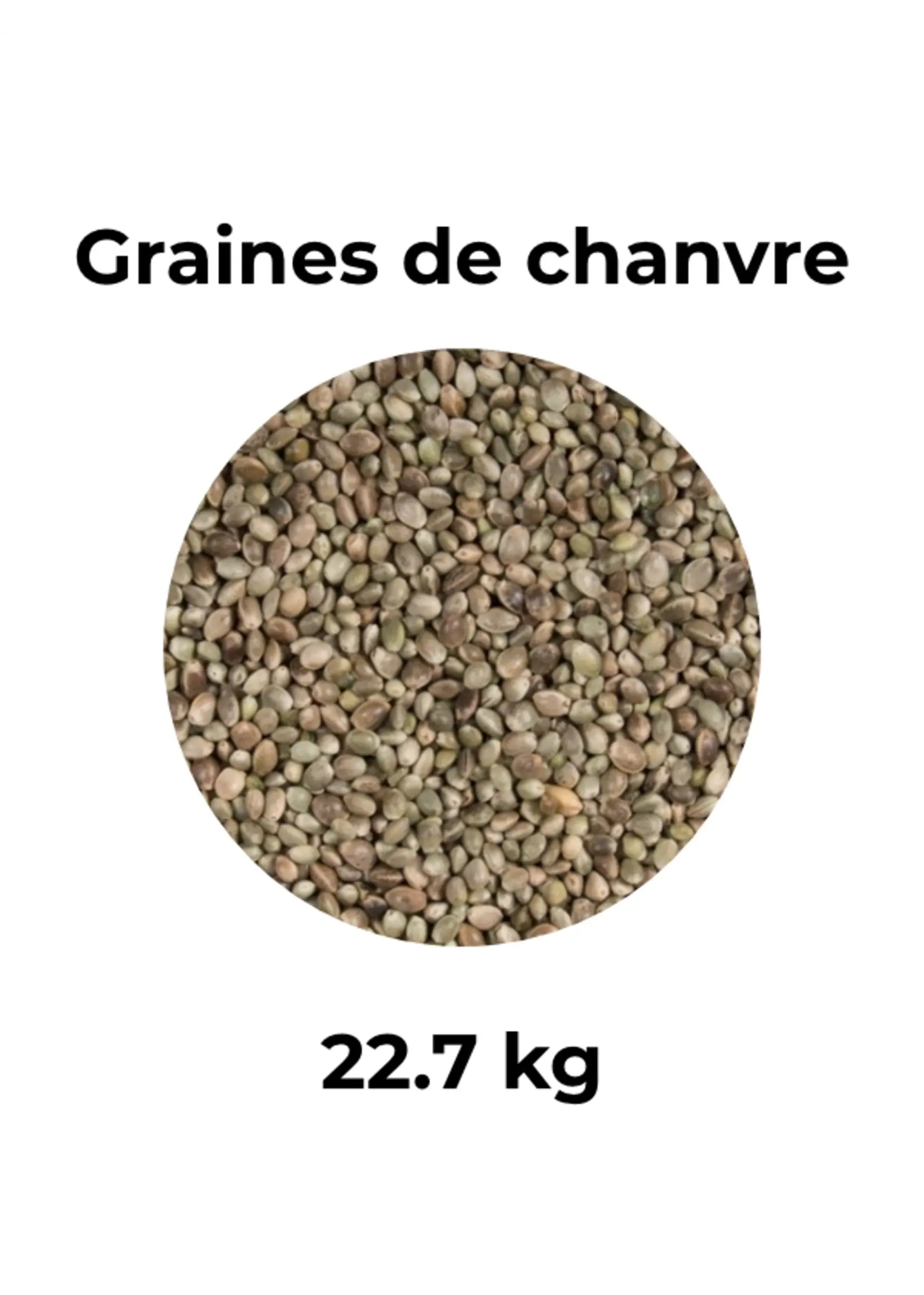 Graines de chanvre. 22.7 kg