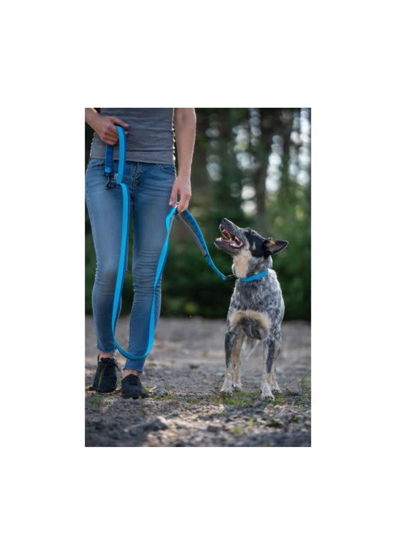 Nuvuq NUVUQ LAISSE MULTIFONCTIONNELLE POUR CHIEN, COULEUR BLEU BLEUET