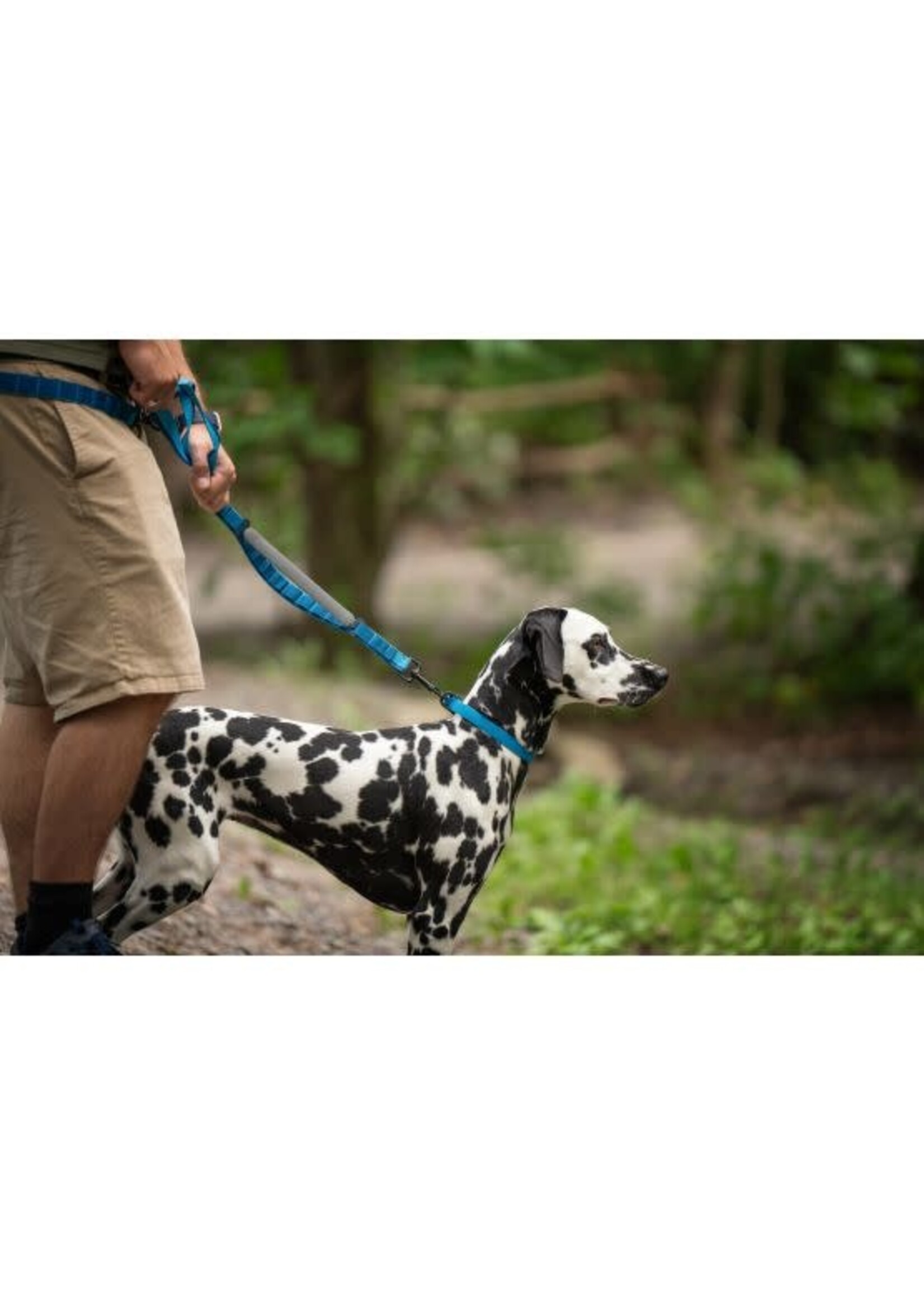 Nuvuq NUVUQ LAISSE MULTIFONCTIONNELLE POUR CHIEN, COULEUR BLEU BLEUET