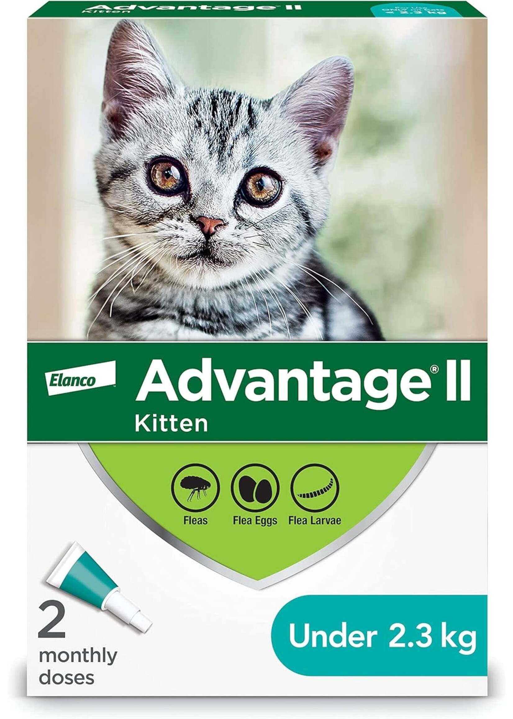 Elanco Advantage ll Chaton 2 doses