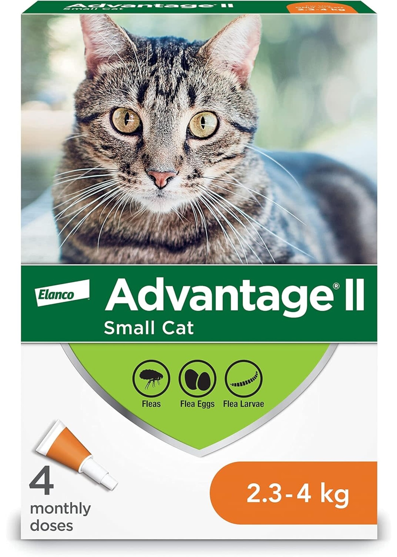 Elanco Advantage ll Chat 2.3kg-4kg 4 doses