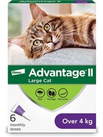Elanco Advantage ll Chat 4kg+ 6 doses