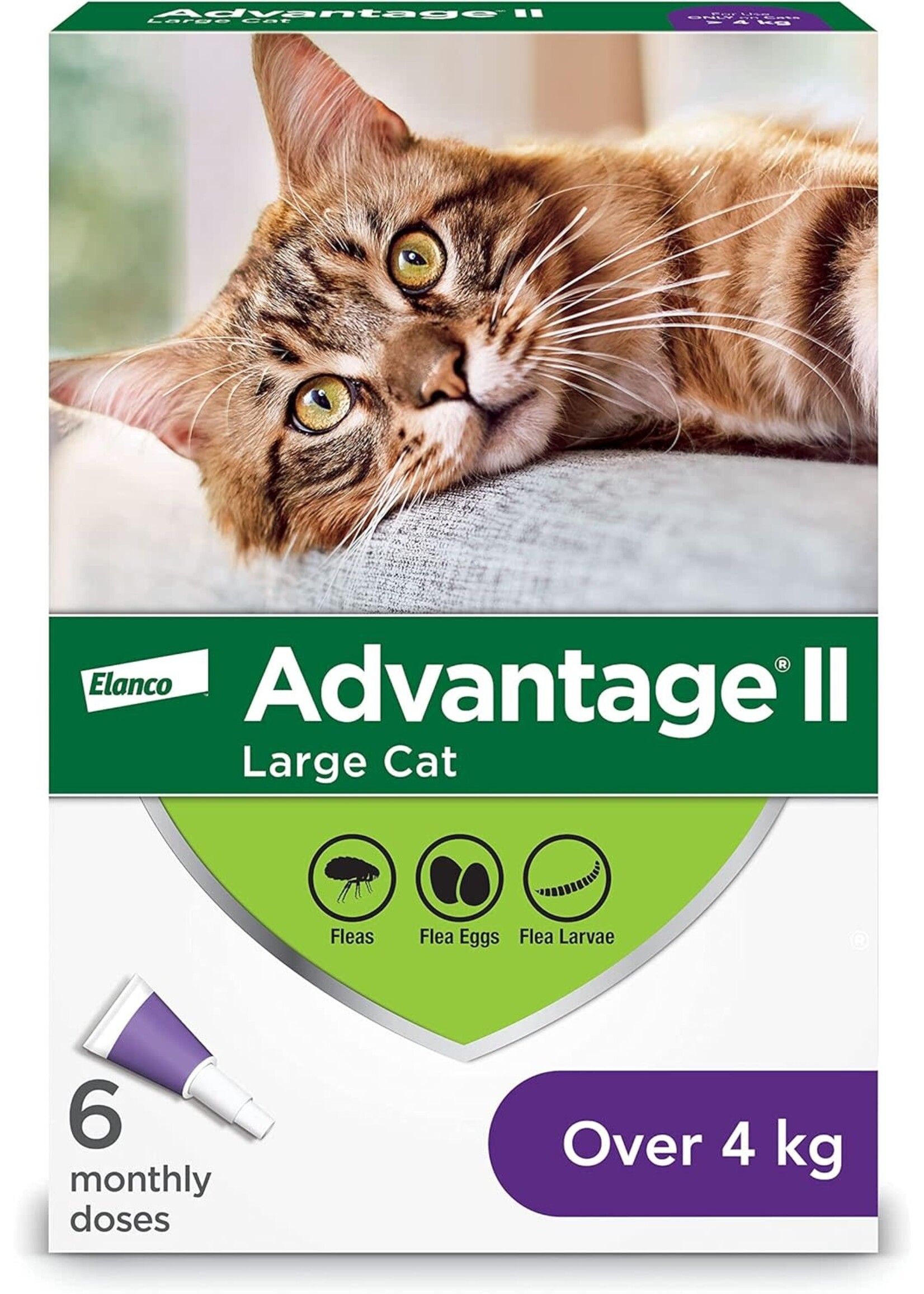 Elanco Advantage ll Chat 4kg+ 6 doses
