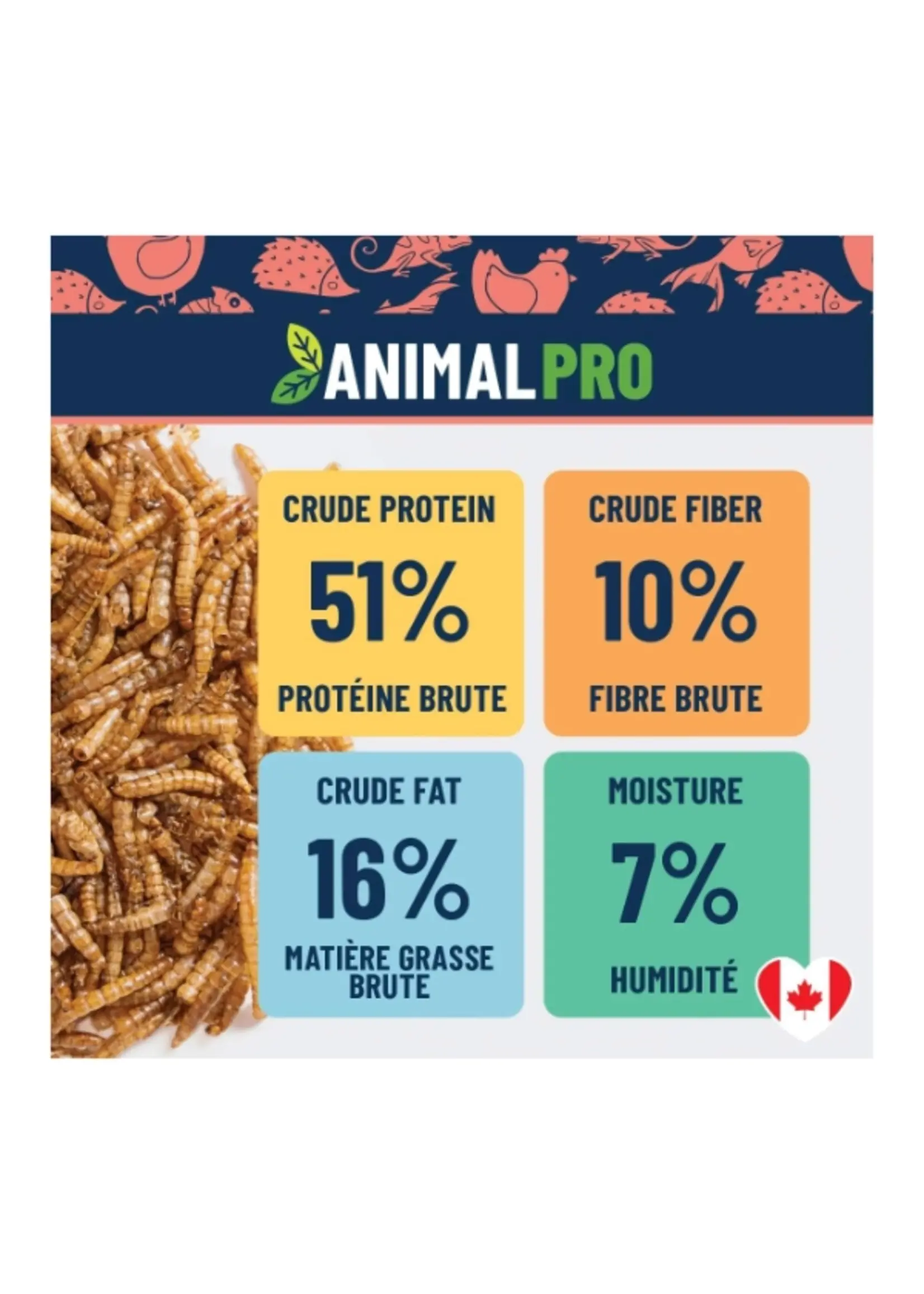 animal pro AnimalPro Collations pour oiseaux