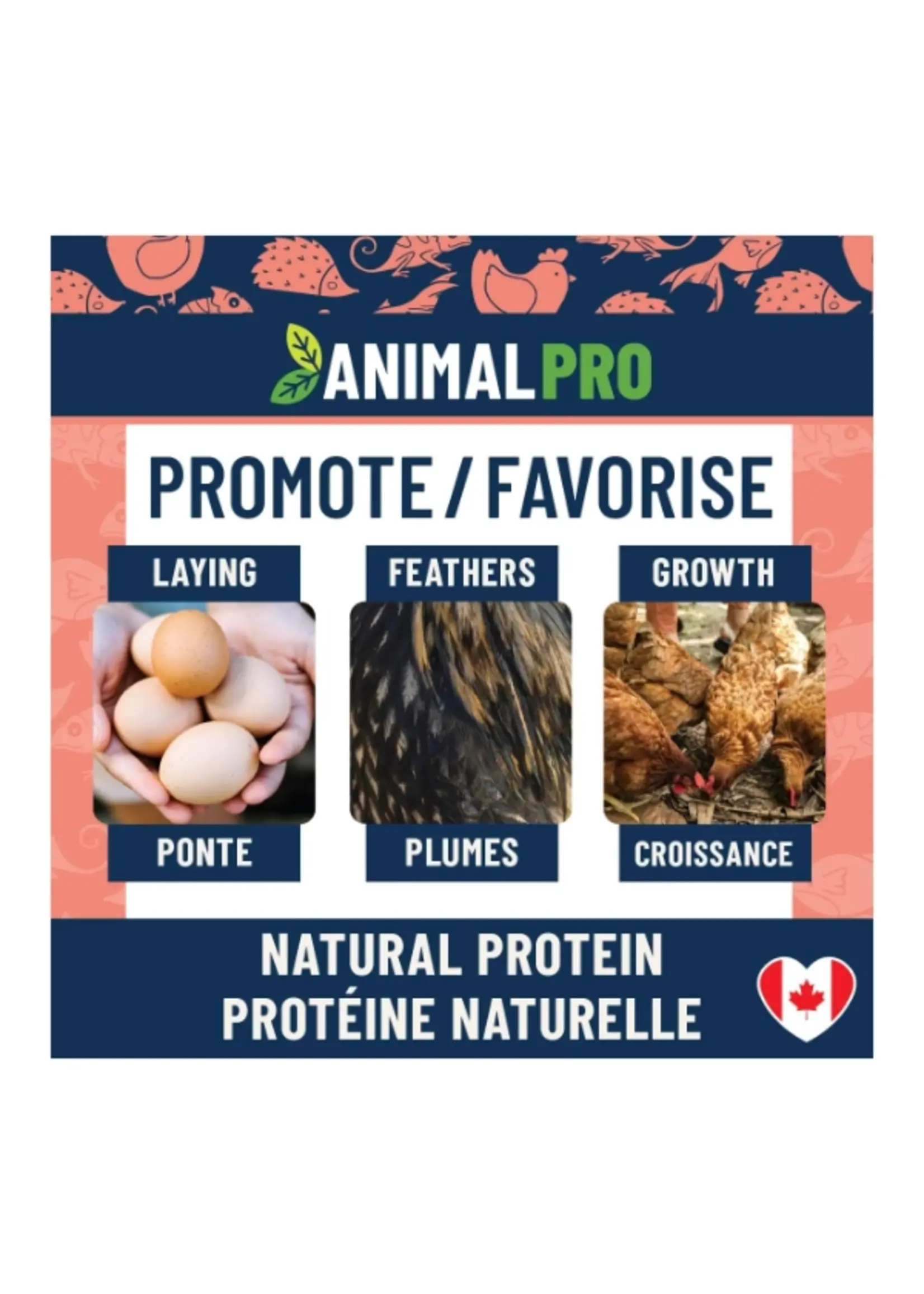 animal pro AnimalPro Collations pour oiseaux
