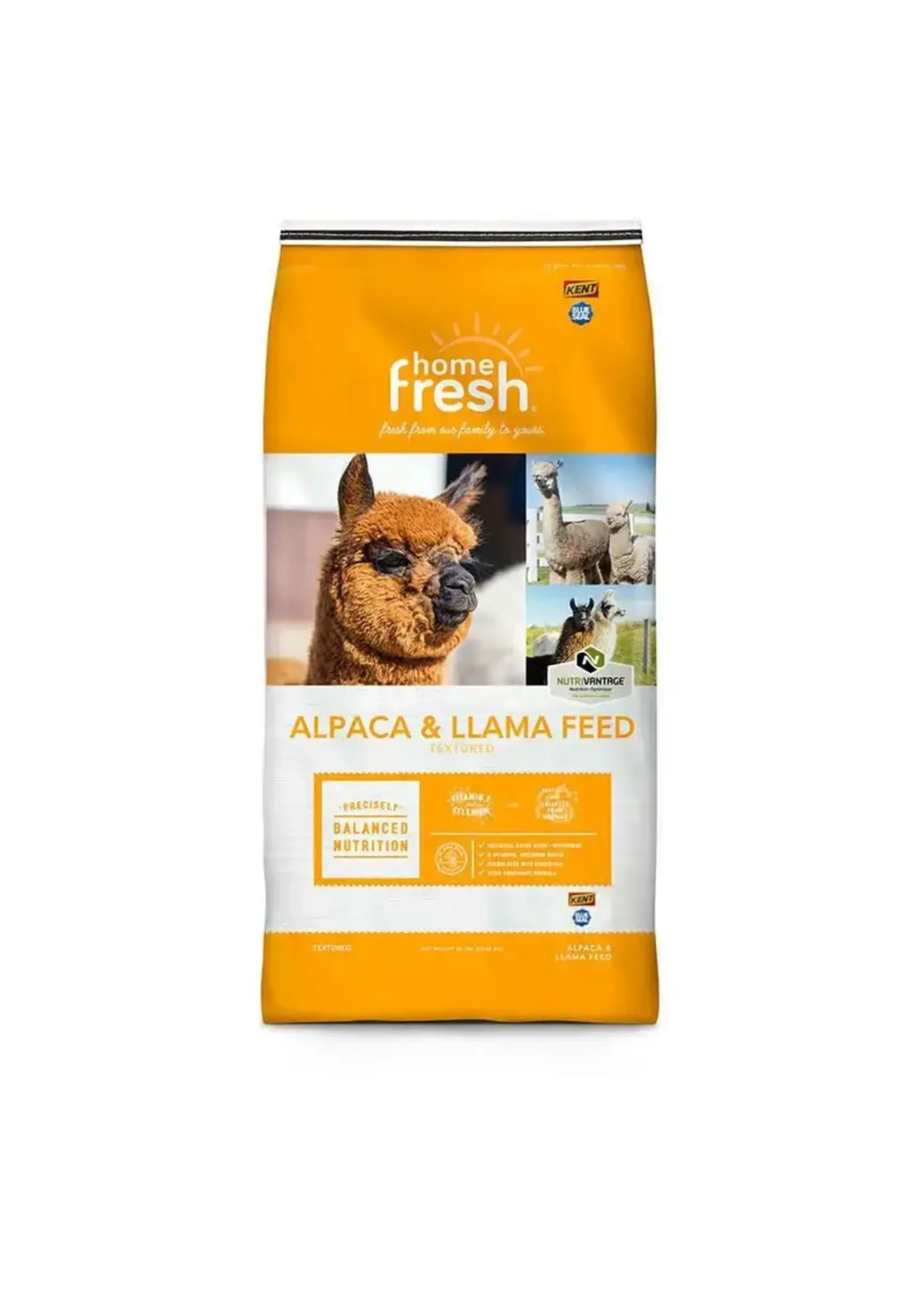 Blue Seal Alpaga & lama crunch 22.68 kg