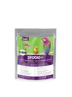 Baci+ Baci+ Probio+ oiseaux