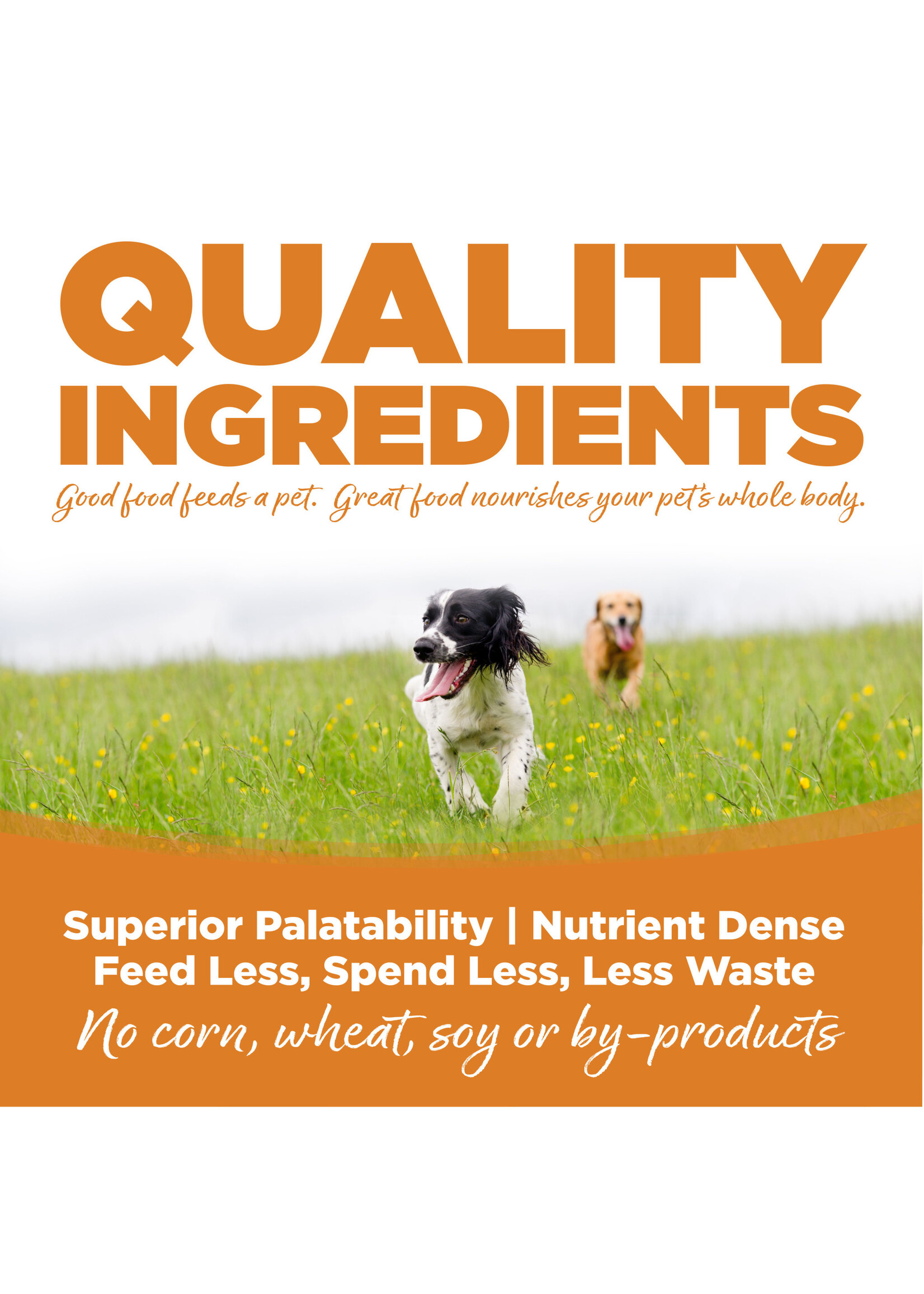 NutriSource NutriSource pour chien agneau et riz