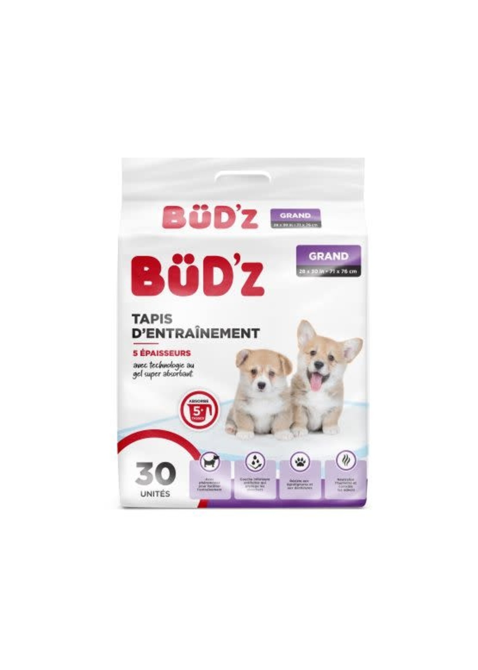 Bud'z Bud’z tapis d’entraînement 28 ‘’ X 30 , 30 unités