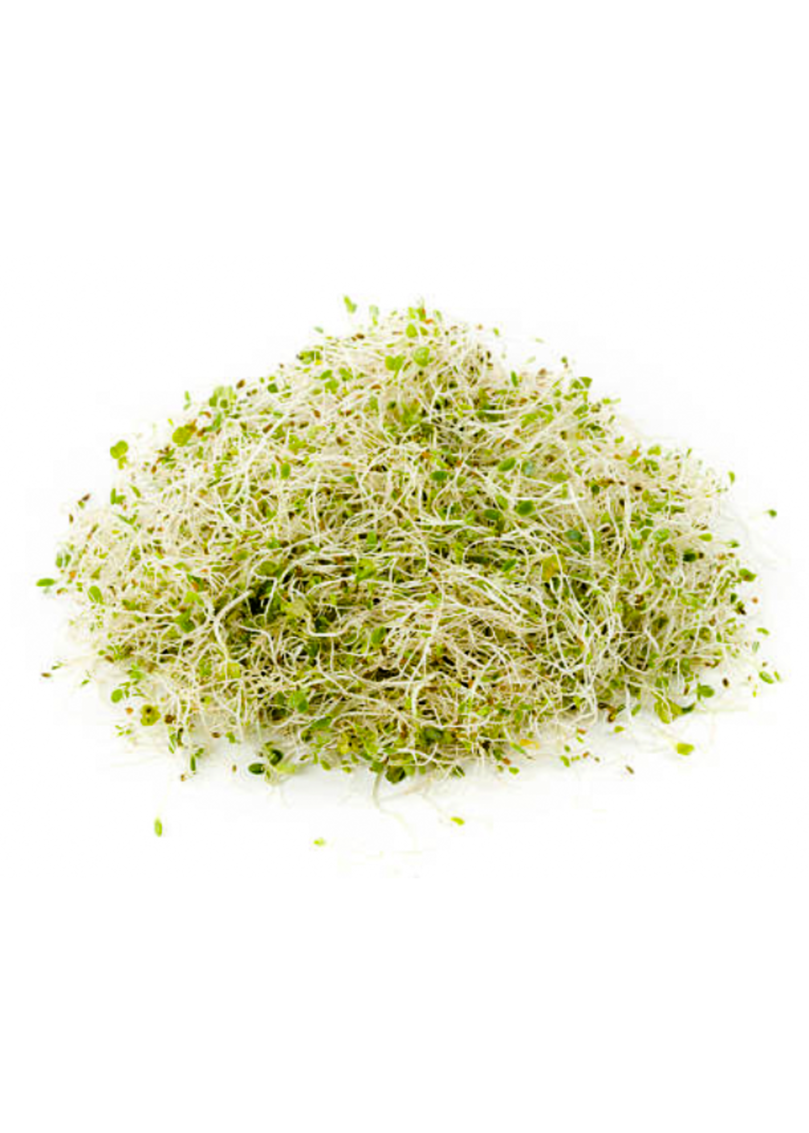 Les jardins de l'écoumène Luzerne (large) à germer - Bio (100g)