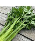 Les jardins de l'écoumène Célerie d'Elne - Bio (250 semences)
