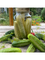 Les jardins de l'écoumène Concombre à cornichon National Pickling – Bio (25 semences)