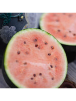 Les jardins de l'écoumène Melon d’eau Blacktail Mountain – Bio, (25 semences)