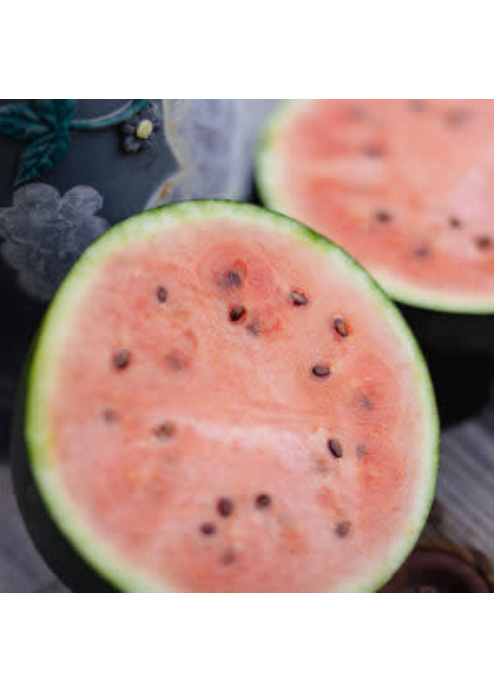 Les jardins de l'écoumène Melon d’eau Blacktail Mountain – Bio, (25 semences)