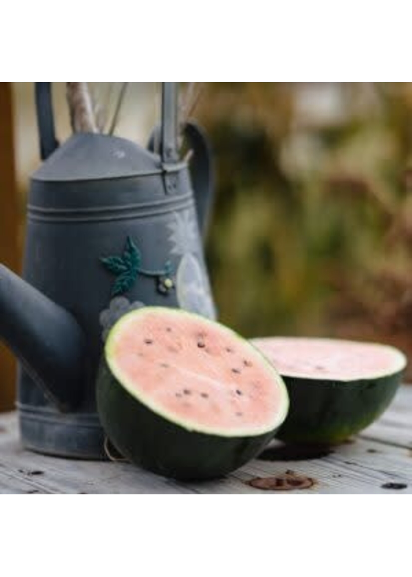 Les jardins de l'écoumène Melon d’eau Blacktail Mountain – Bio, (25 semences)