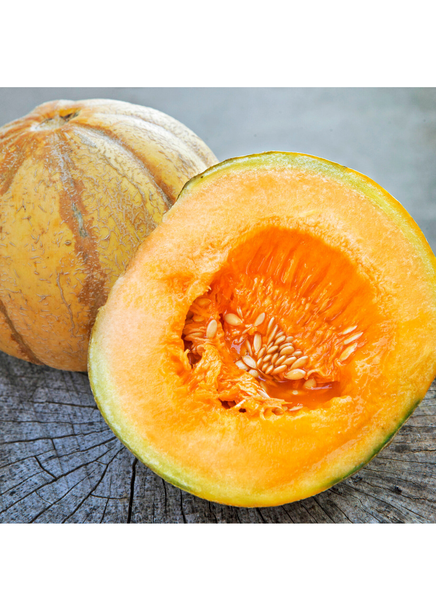 Les jardins de l'écoumène Melon brodé d’Oka – Bio, (25 semences)
