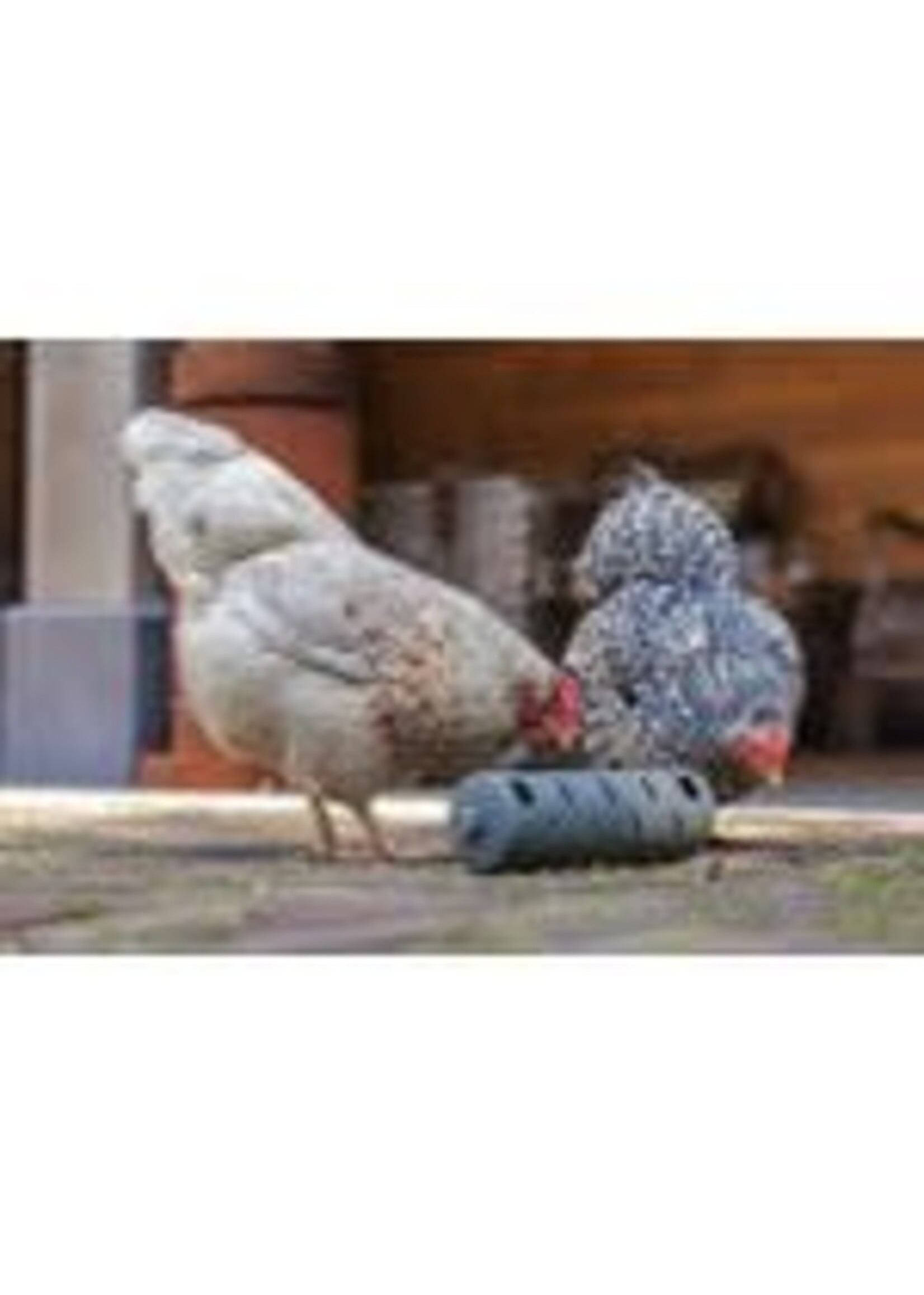 Gaun Rouleau à collation (100% recyclé)