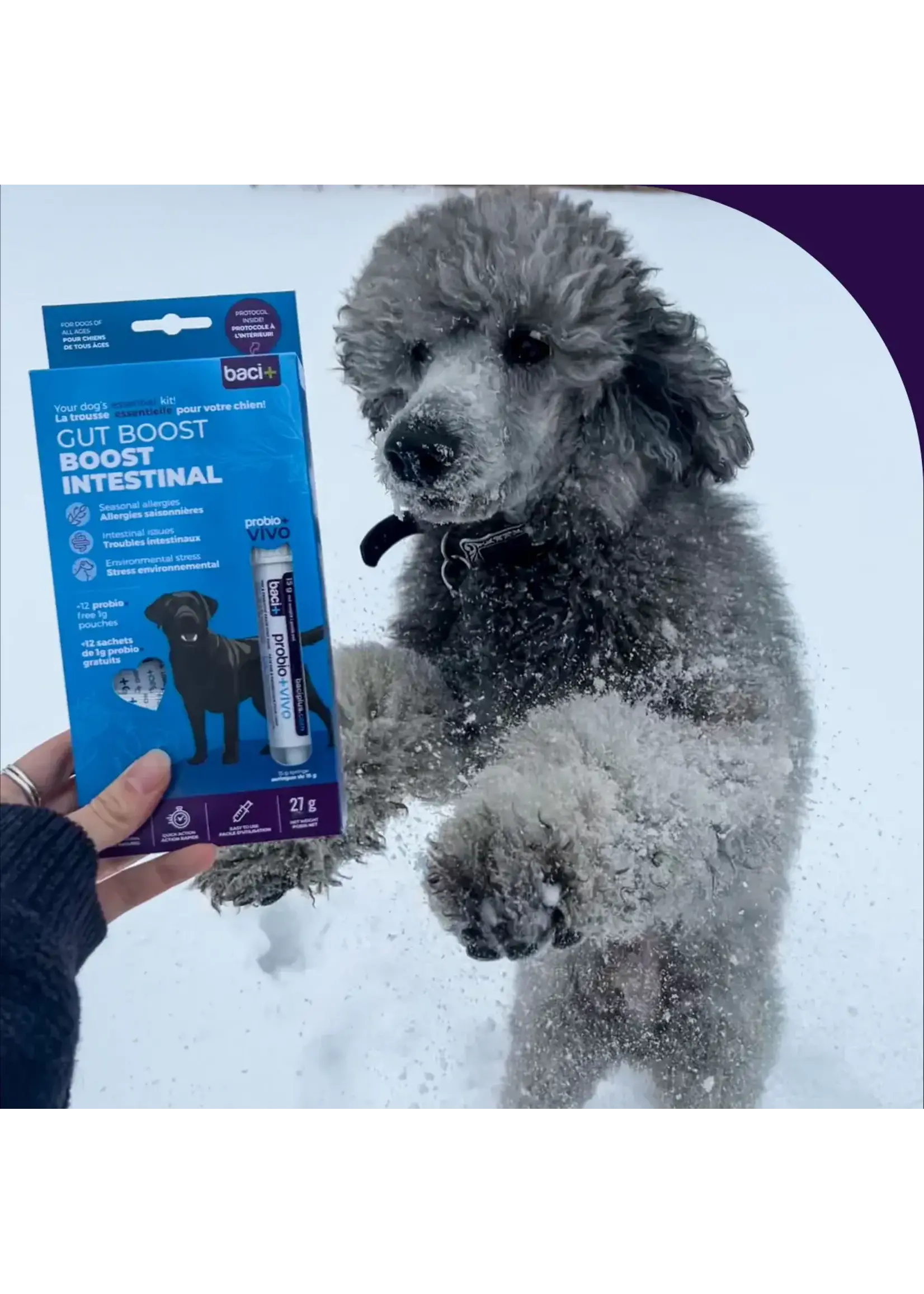 Baci+ Trousse BOOST intestinal chien 27 g