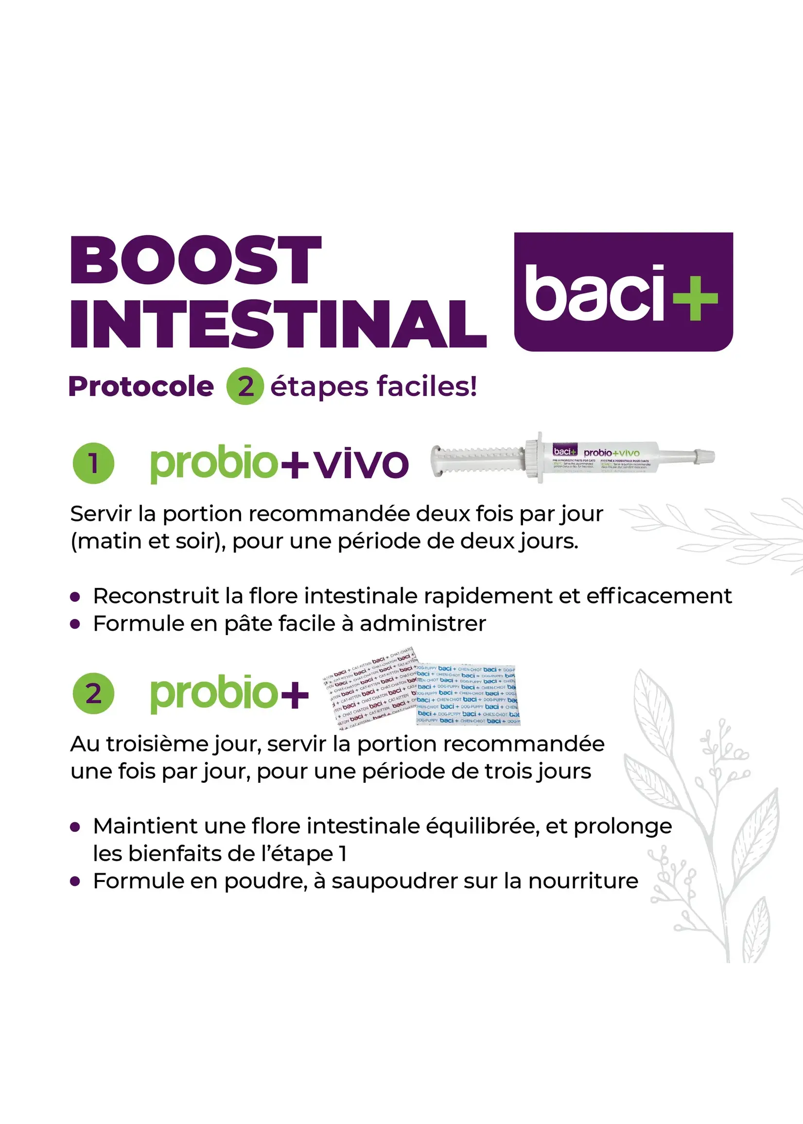 Baci+ Trousse BOOST intestinal chien 27 g