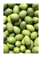 Les jardins de l'écoumène Concombre mexicain – Bio, (25 semences)
