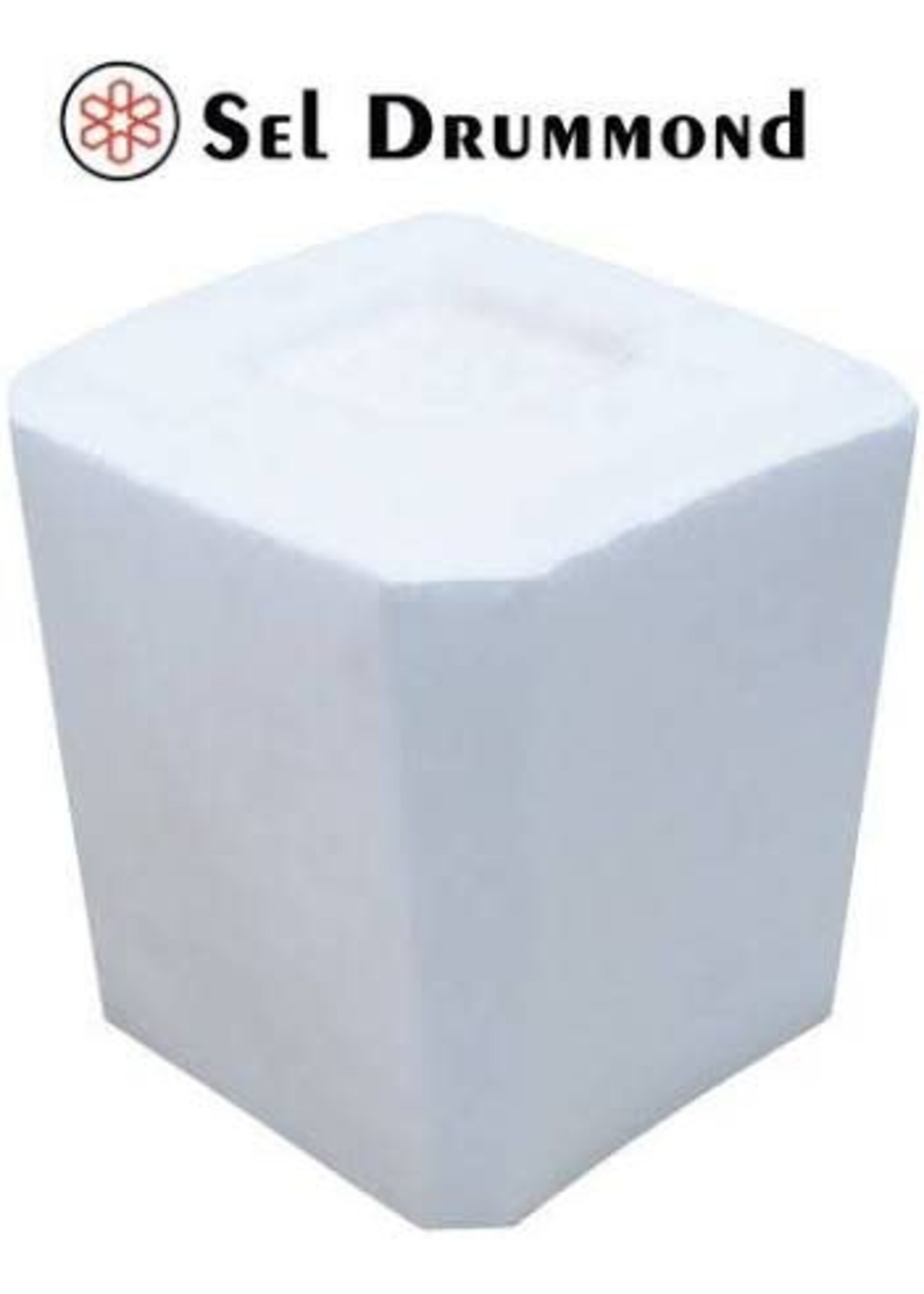 Sifto Bloc de sel blanc 20 kg