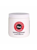 DVL DVL Electrovite Powder   300gm