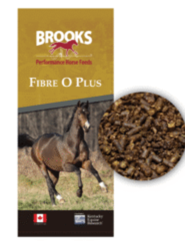 Brooks Brooks®️ Fibro plus (cube) 25 kg