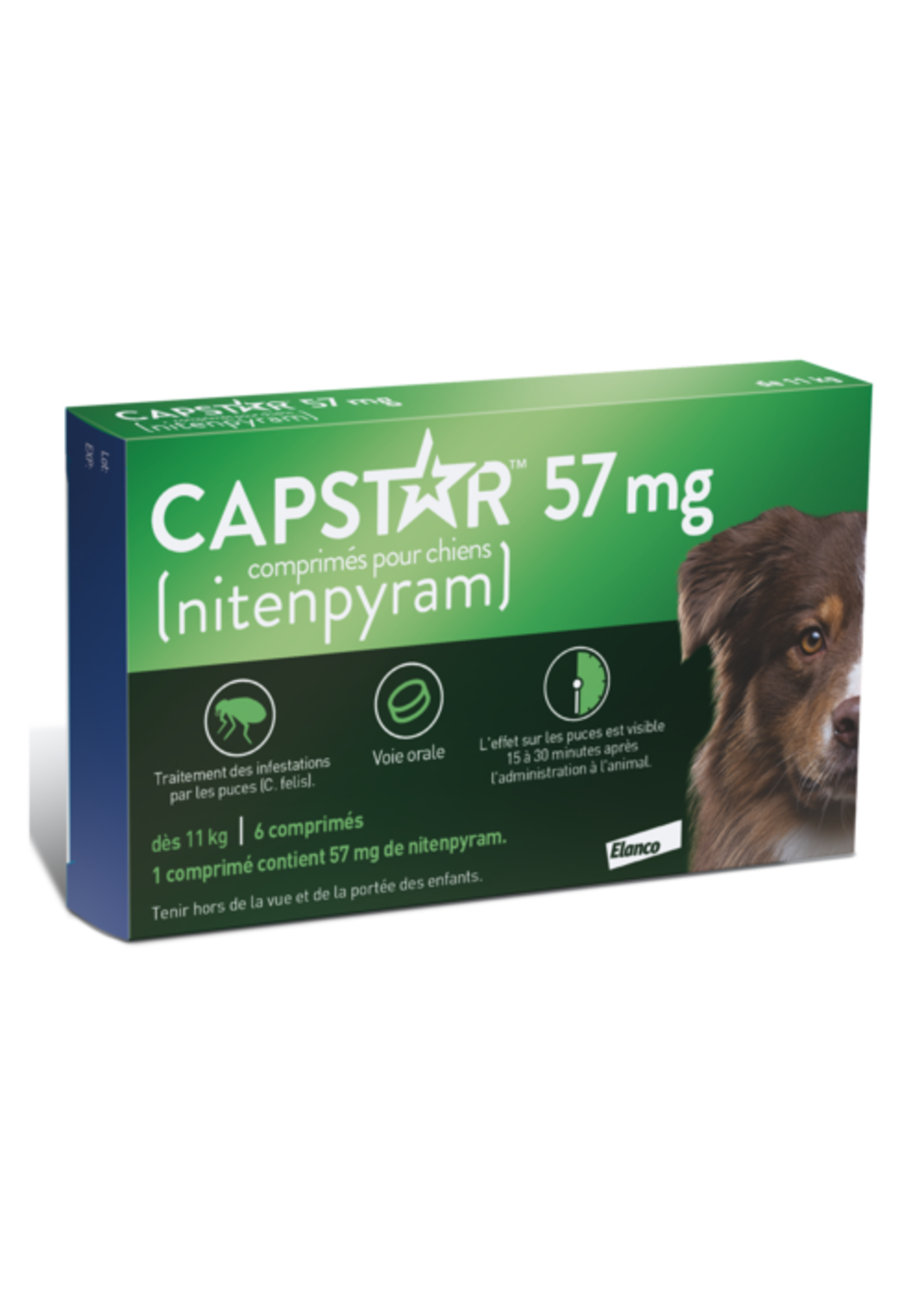 Capstar Comprimés oraux Capstar, anti-puces- grands chiens, 11 kg à 57 kg, 6 comprimés