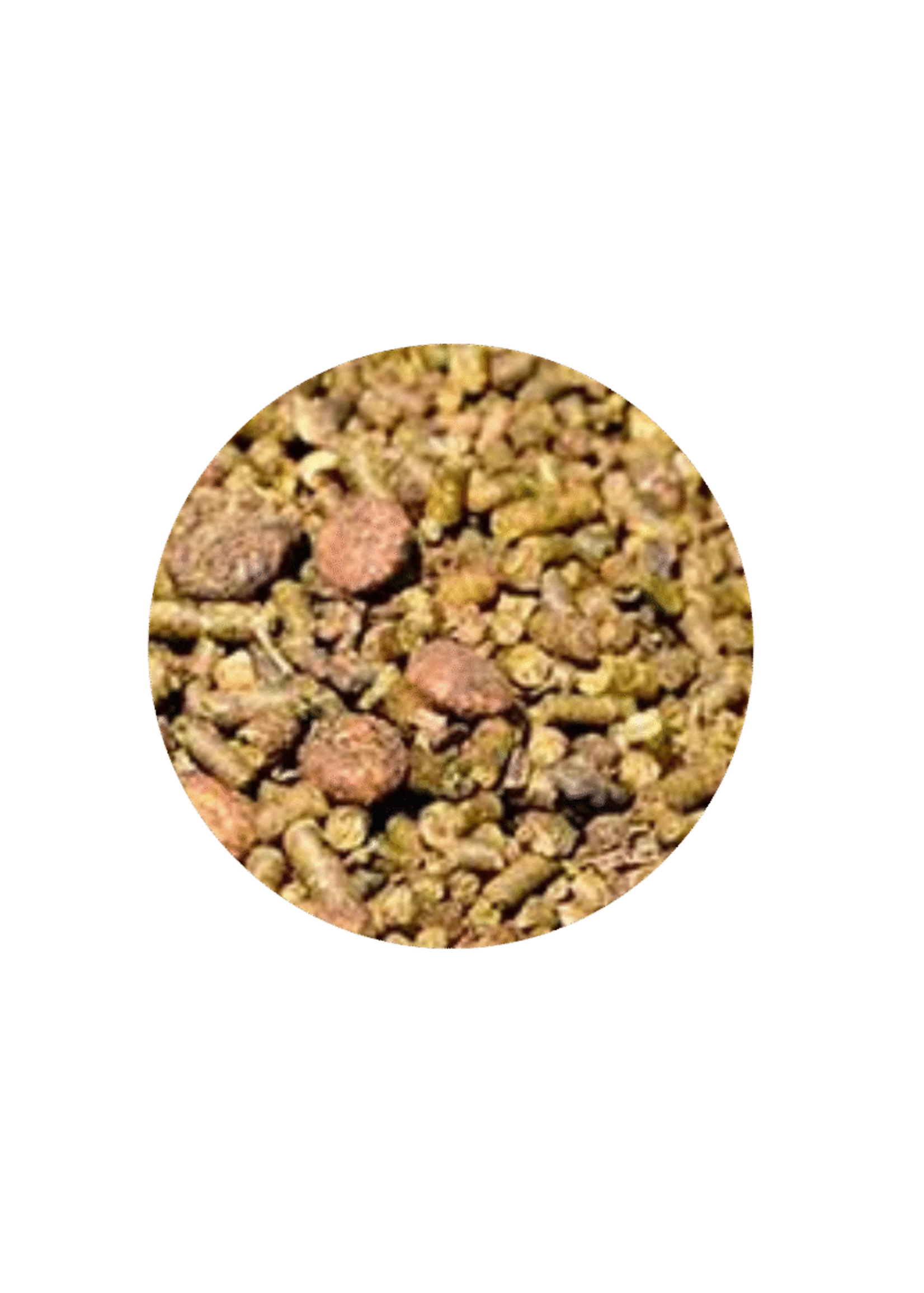 Brooks Brooks®️ Senior (Multi-particules) 20 kg