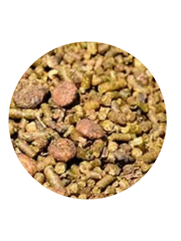 Brooks Brooks®️ Senior (Multi-particules) 20 kg