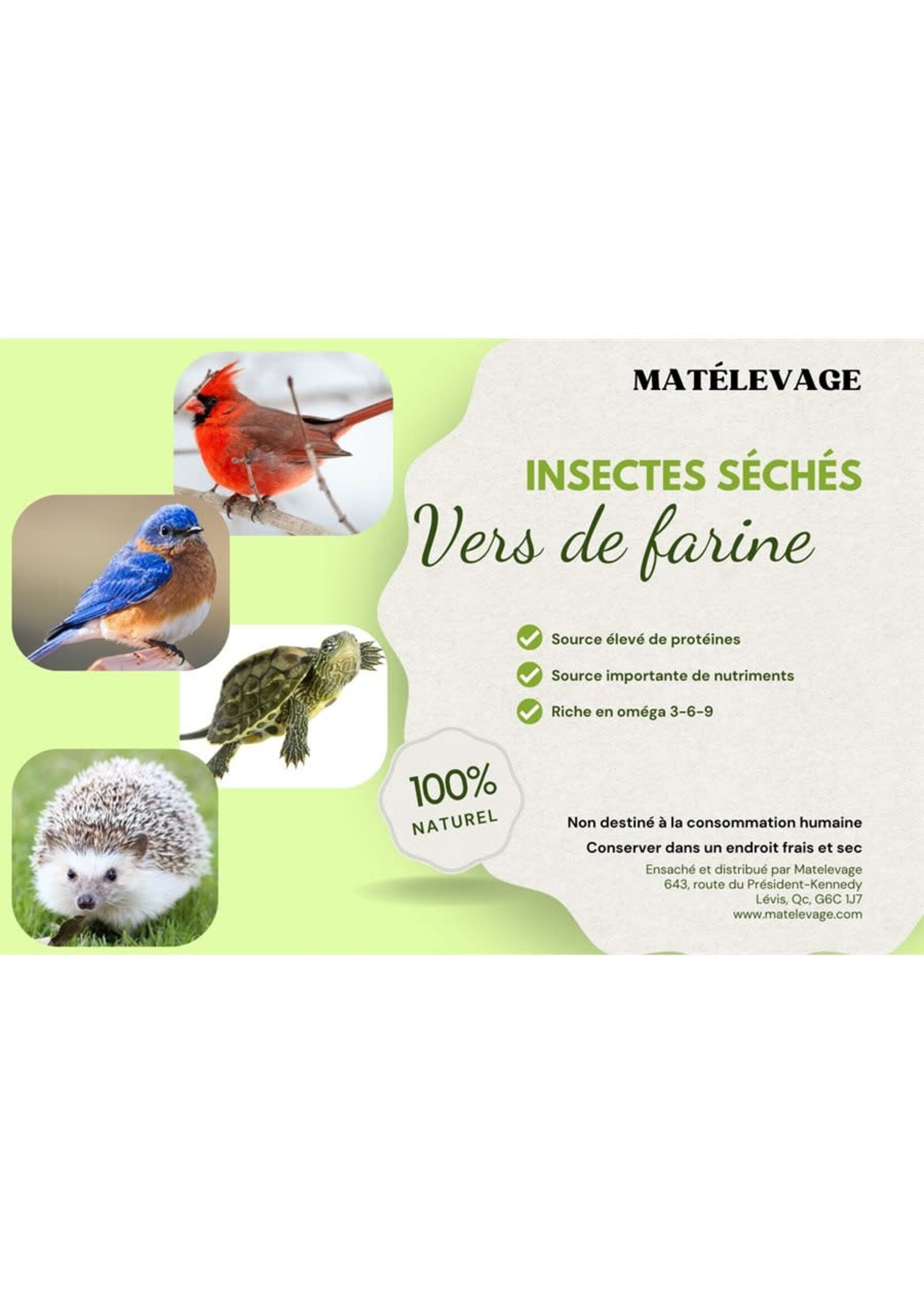 Matelevage Matelevage Vers de farine 275 gr