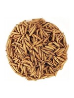 Matelevage Larves de mouche soldat noire 2 lbs, M