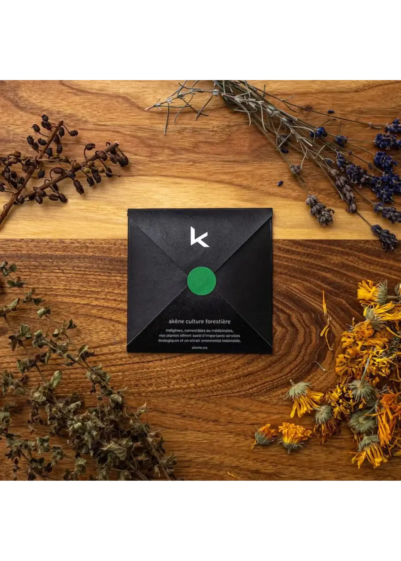 Les jardins de l'écoumène Heliopsis faux-hélianthe (50 semences)