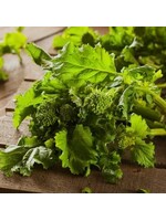 Les jardins de l'écoumène Rapine spring raab - Bio (300 semences)