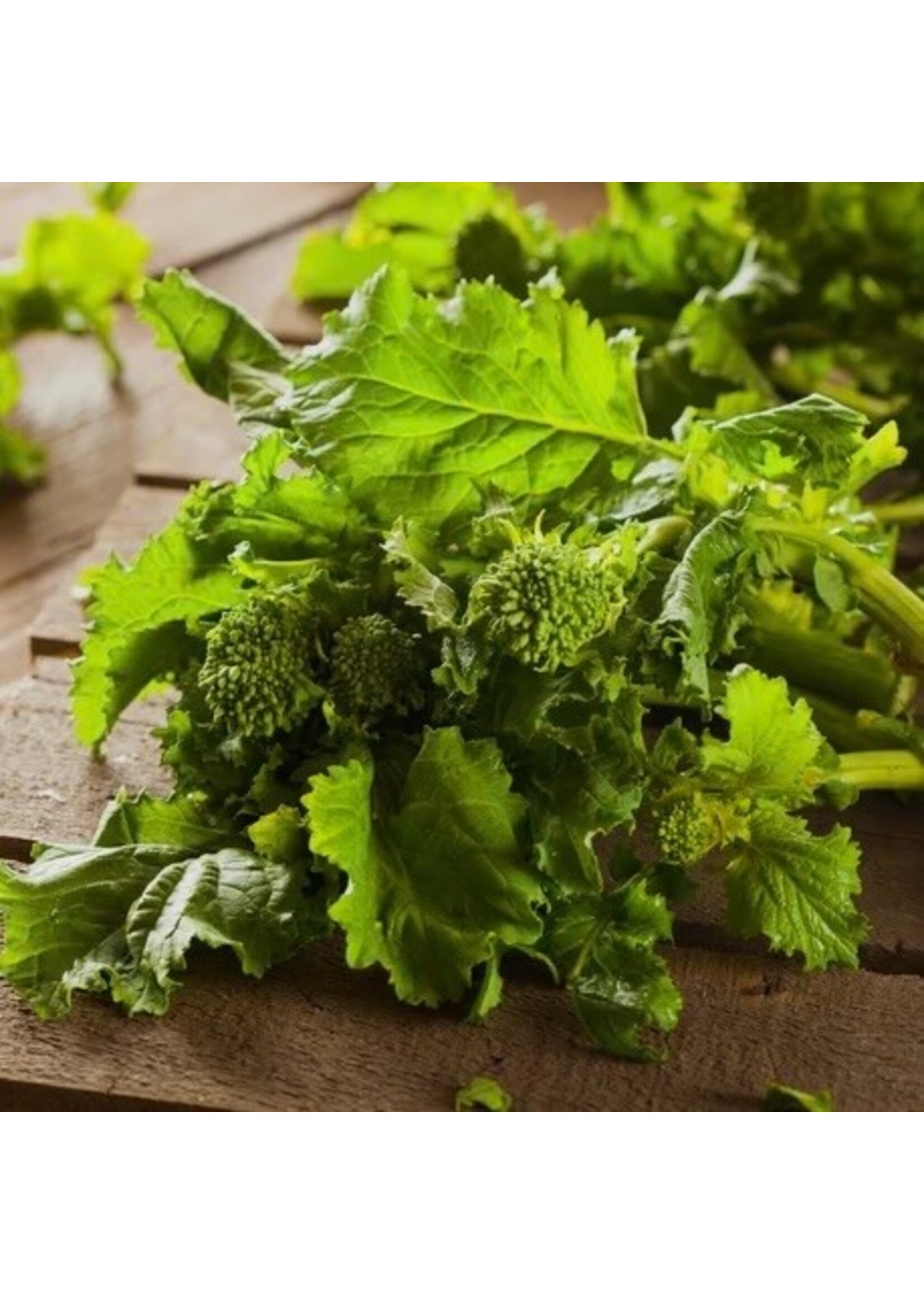 Les jardins de l'écoumène Rapine spring raab - Bio (300 semences)