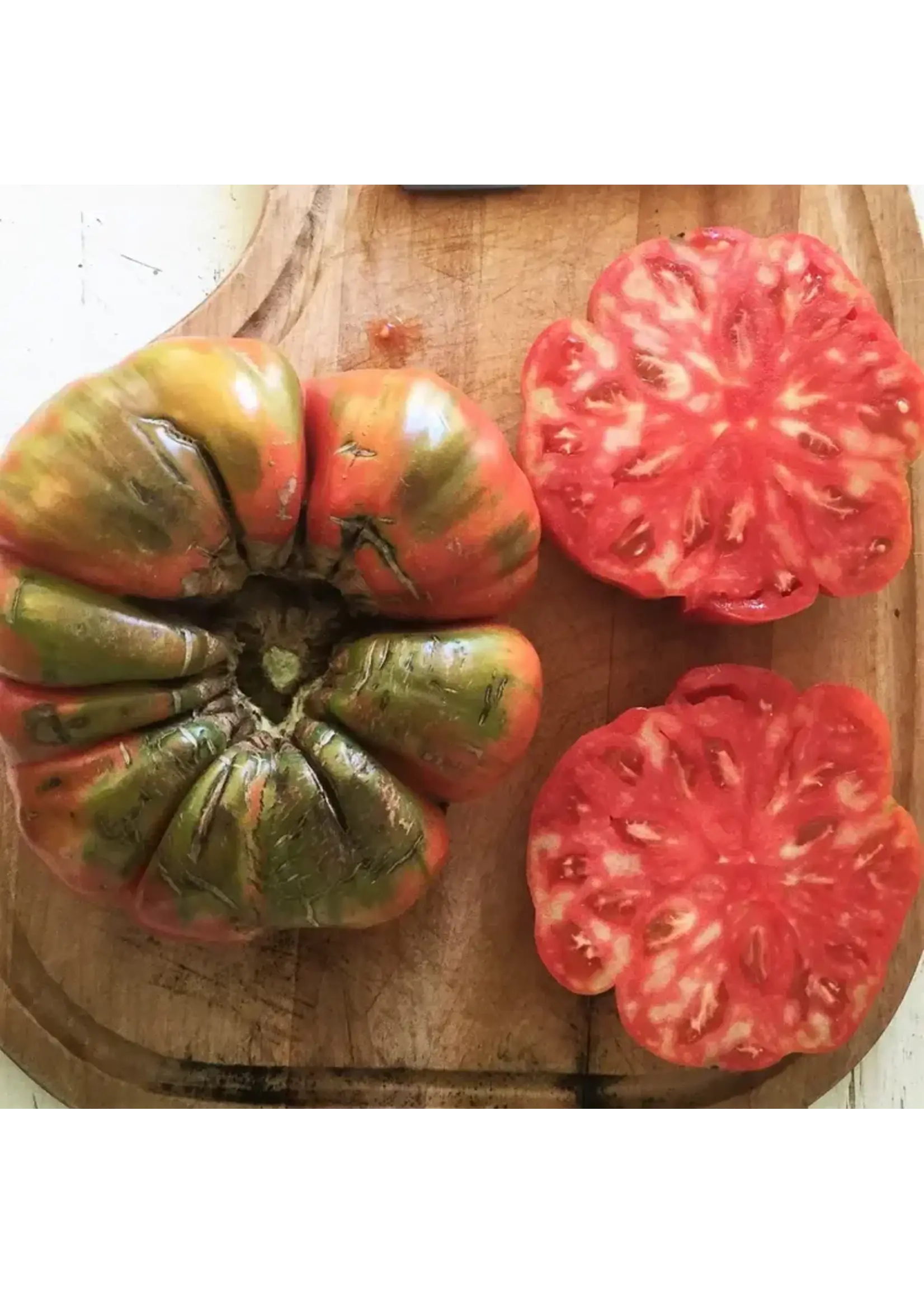 Les jardins de l'écoumène Tomate beefsteak Adelin morin - Bio (25 semences)