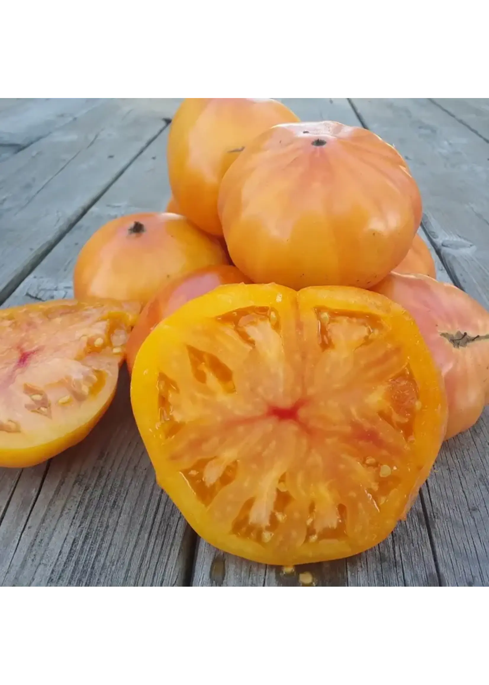 Les jardins de l'écoumène Tomate beefsteak Ananas - Bio (25 semences)
