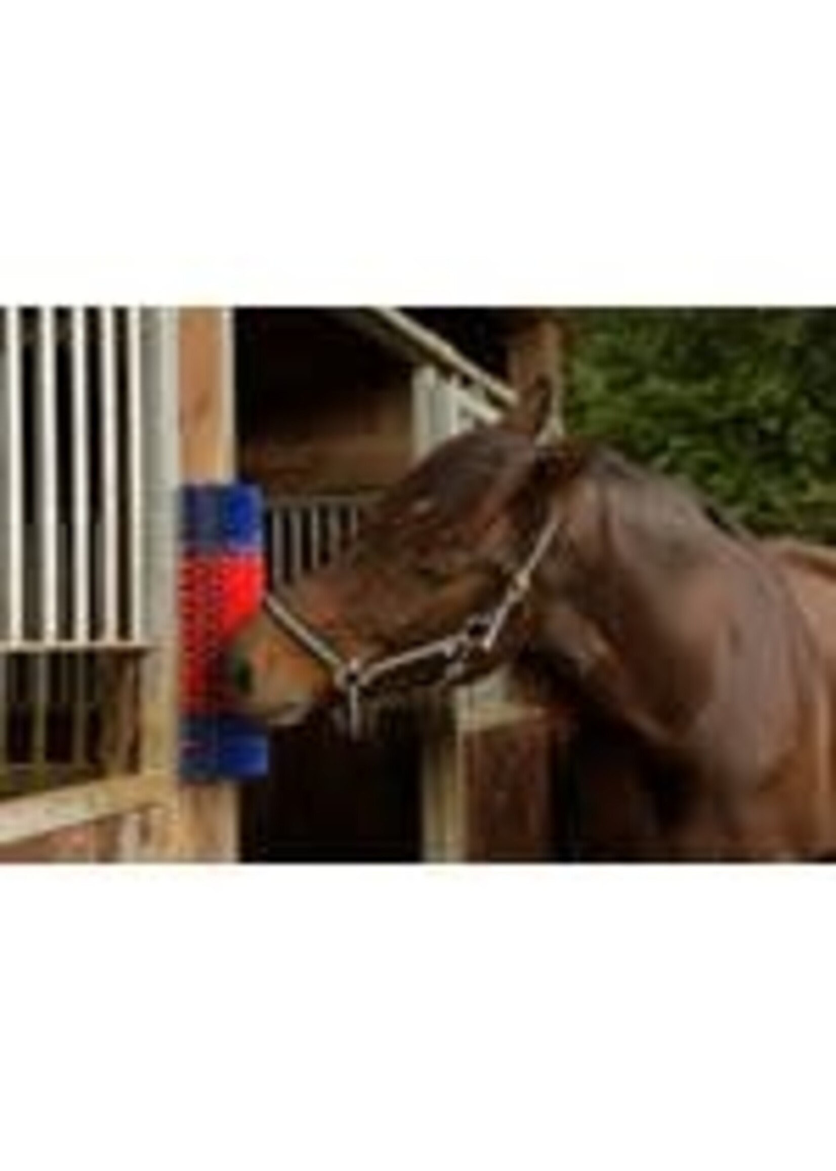 matelage Brosse murale semi-circulaire pour animaux 22 x 50 x 9 cm