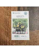 les jardins d'écoumene Tomate cerise  Yellow Canary- Bio (20 semences)