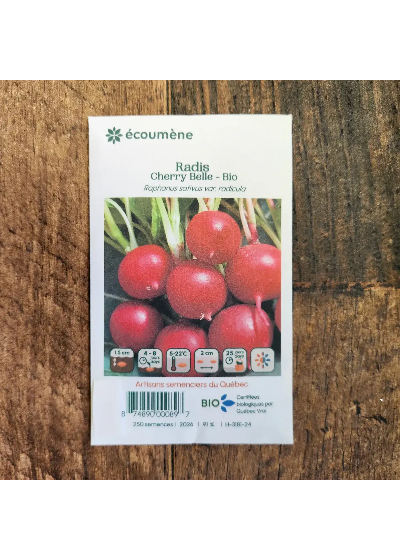 Les jardins de l'écoumène Radis 'Cherry Belle'- Bio
