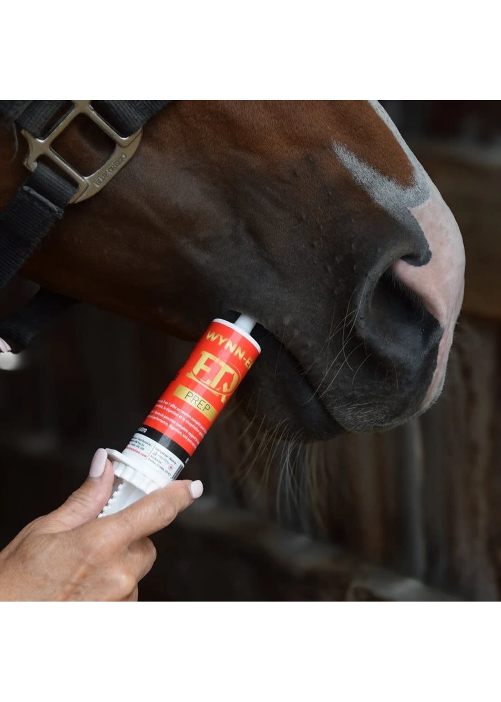 Equine revolution Wynn-er Prép en seringue (60ml)