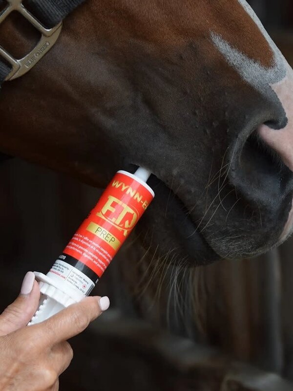 Equine revolution Wynn-er Prép en seringue (60ml)