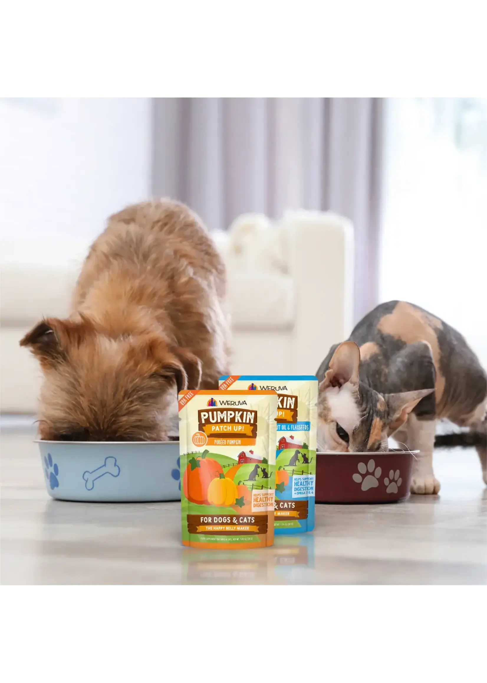 Wereva Variété citrouille 2.8oz