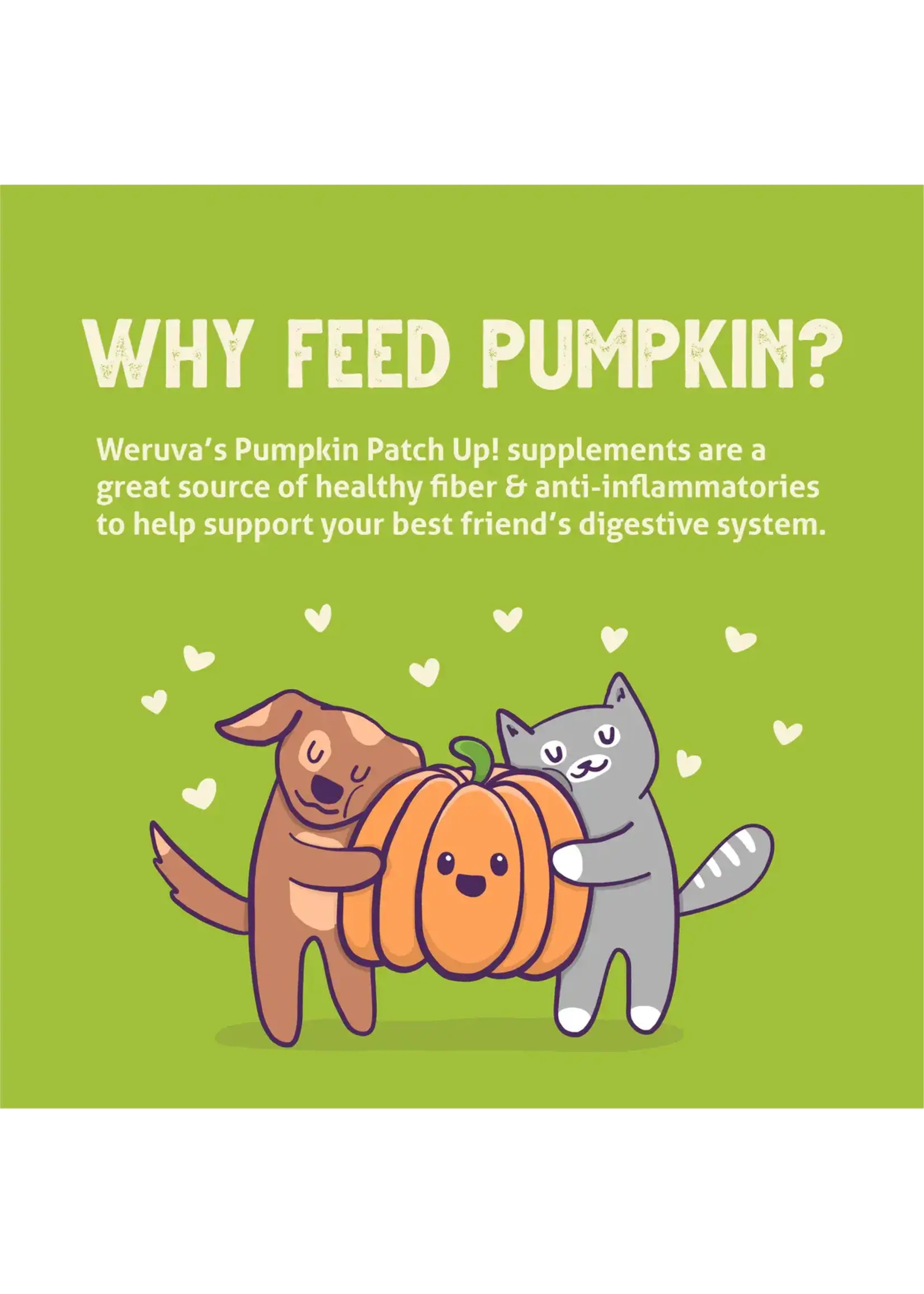 Wereva Variété citrouille 2.8oz