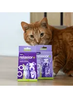 Baci+ Relaxior+ chien ou chat de 10 Kg et plus, 30 g