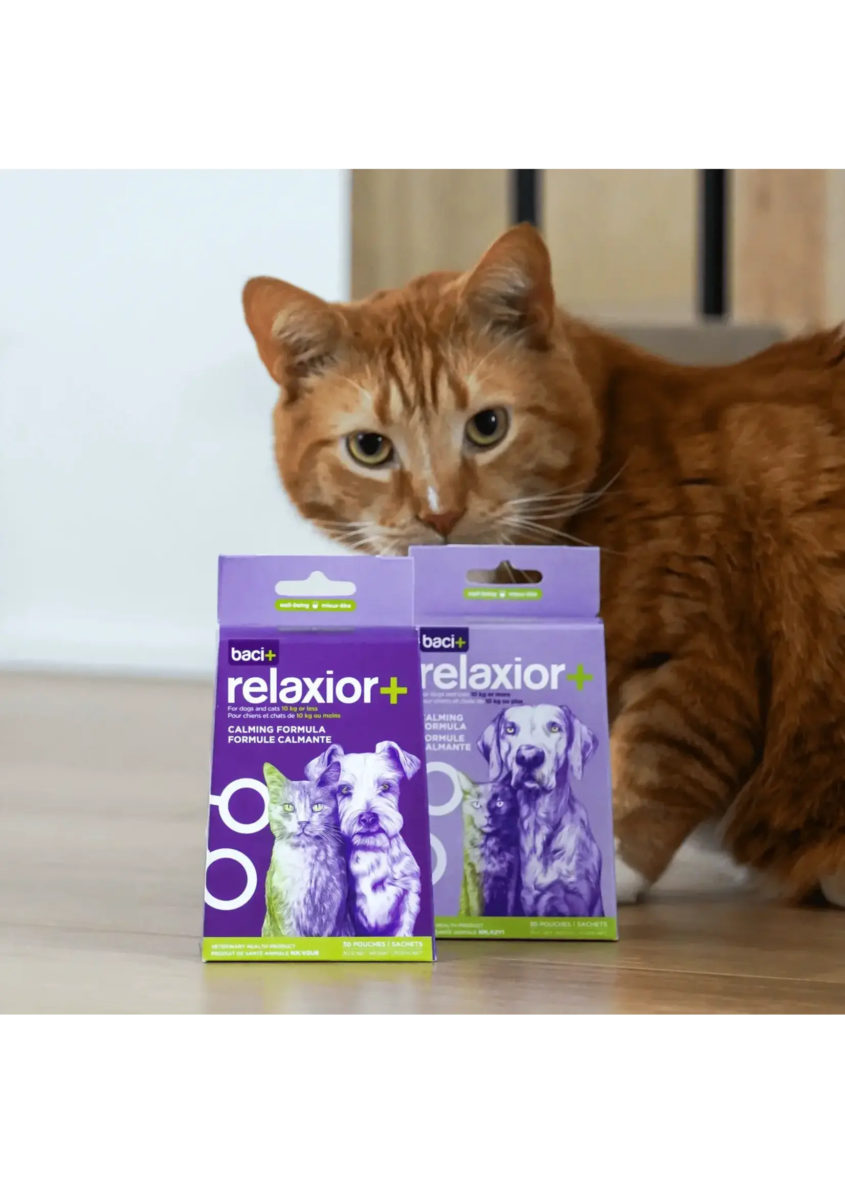 Baci+ Relaxior+ chien ou chat de 10 Kg et plus, 30 g