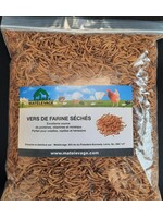 Matelevage Matelevage Vers de farine séchés 3 lbs