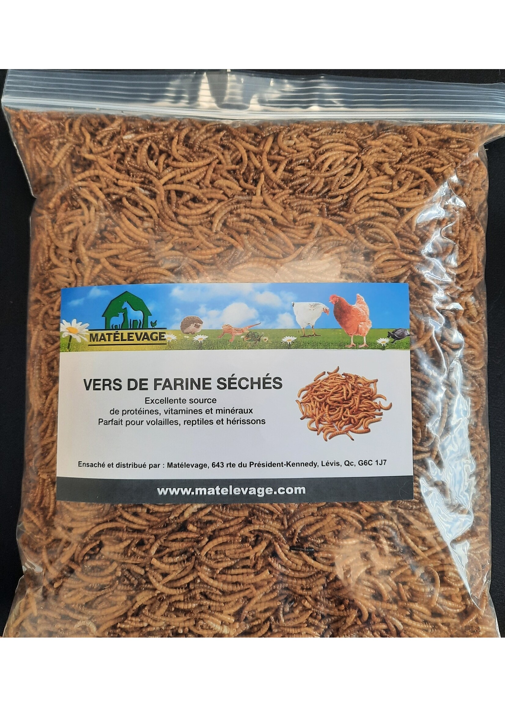 Matelevage Matelevage Vers de farine séchés